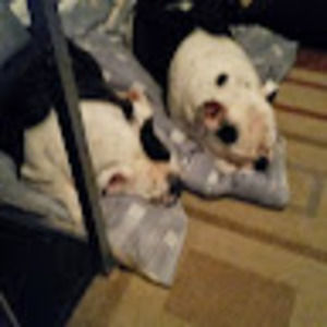 Meet your Posher, Rosemary